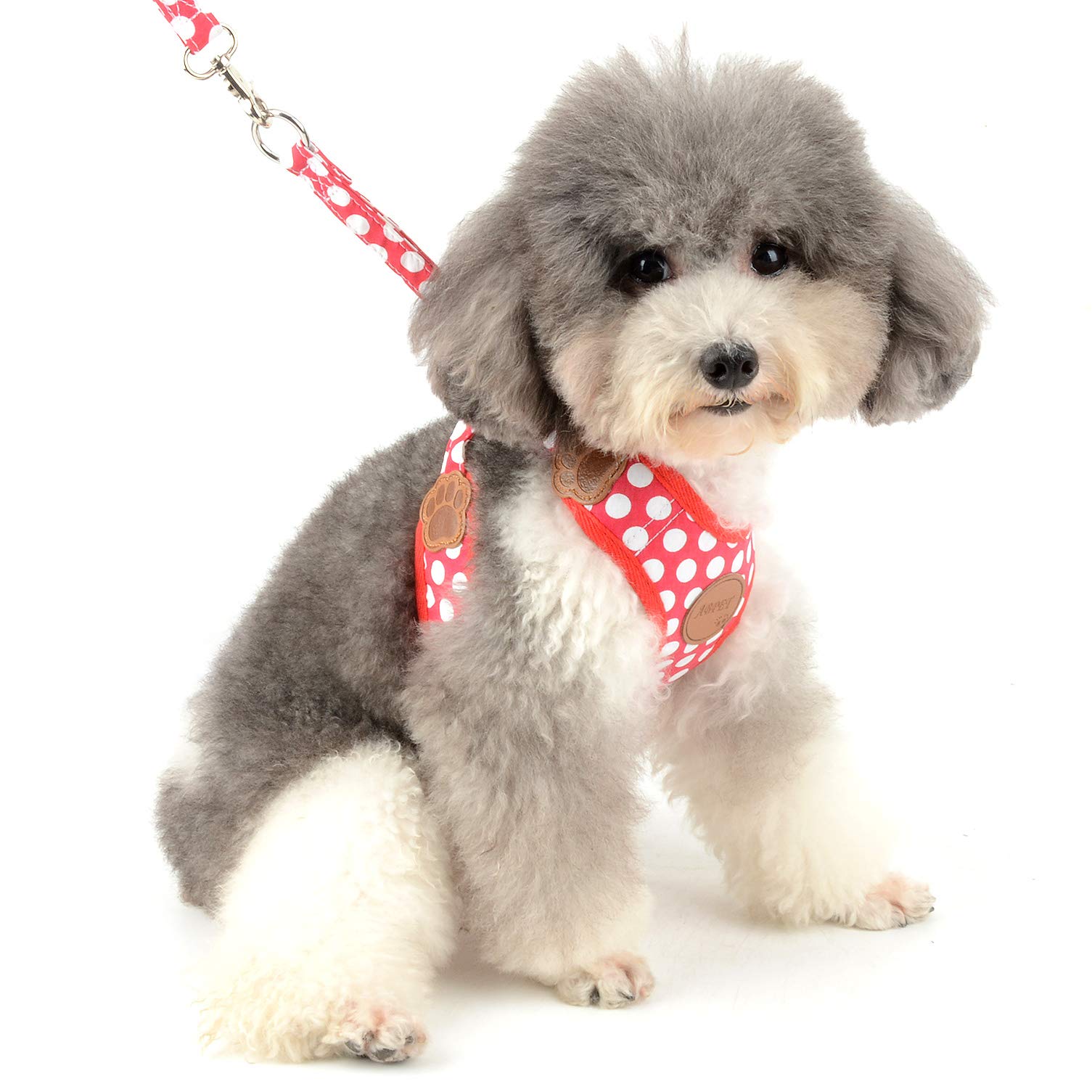 Amazon | ペット犬 猫 用 ハーネス ドット柄 かわいい 小型犬 超小型犬